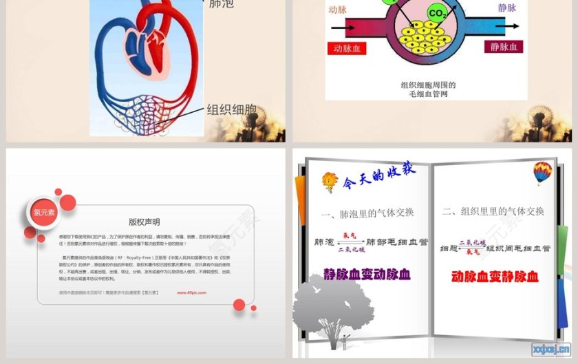 气体在人体中的进出教学ppt课件第3张