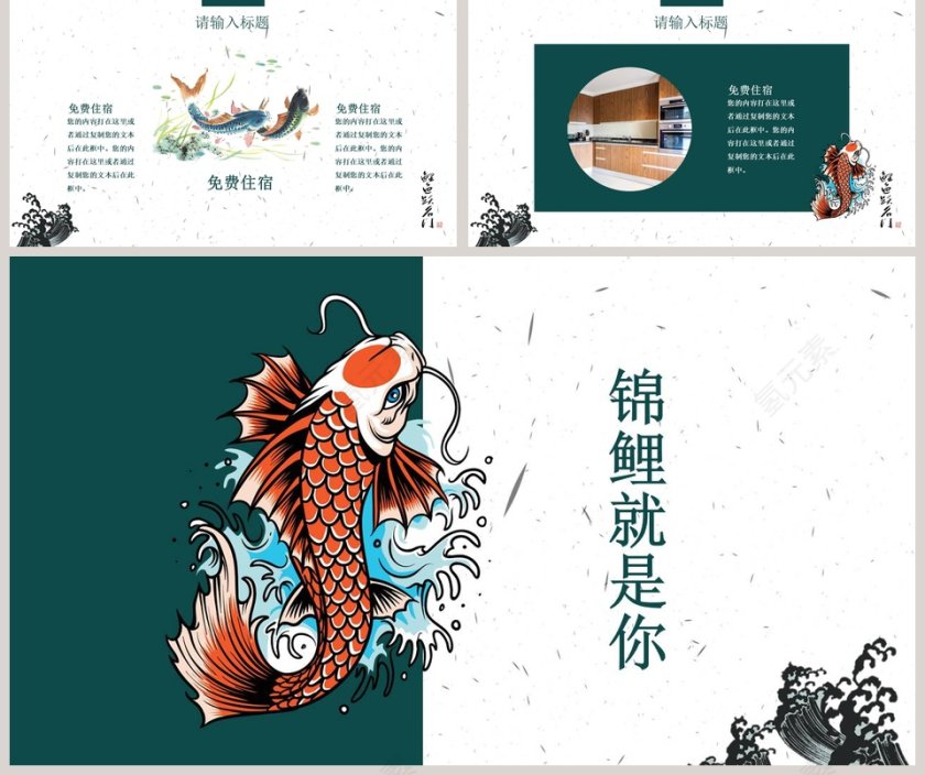 寻找鲤鱼PPT第5张