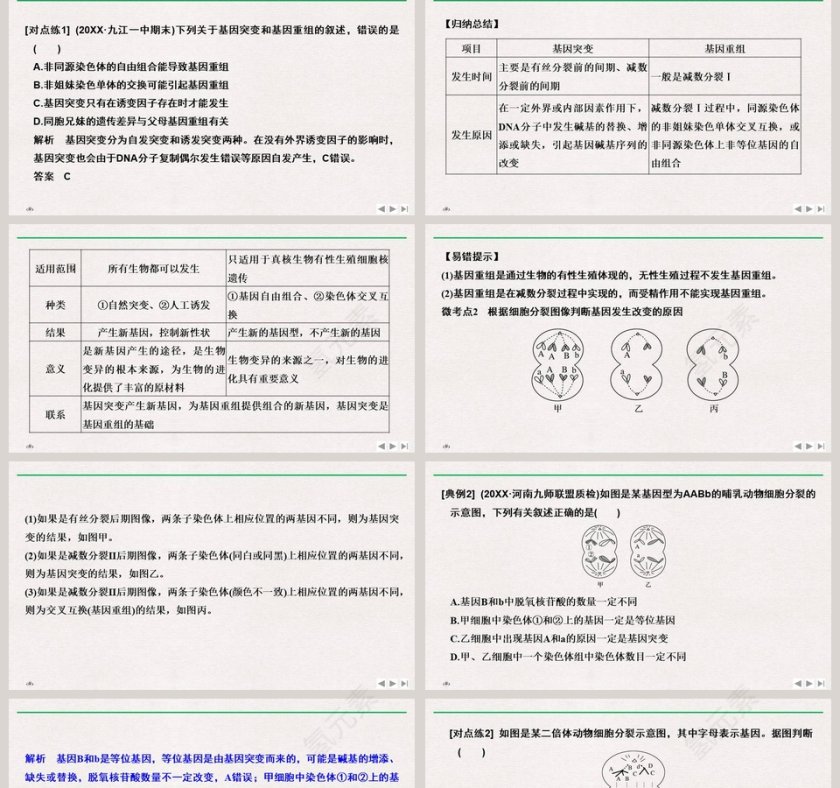 微专题六可遗传变异及其在育种实践中的应用教学ppt课件第2张