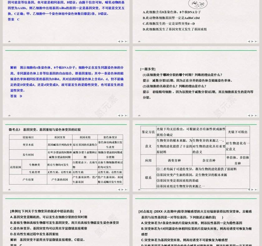 微专题六可遗传变异及其在育种实践中的应用教学ppt课件第3张