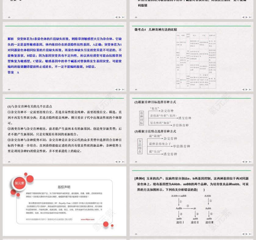 微专题六可遗传变异及其在育种实践中的应用教学ppt课件第4张