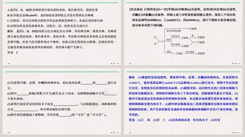 微专题六可遗传变异及其在育种实践中的应用教学ppt课件第5张