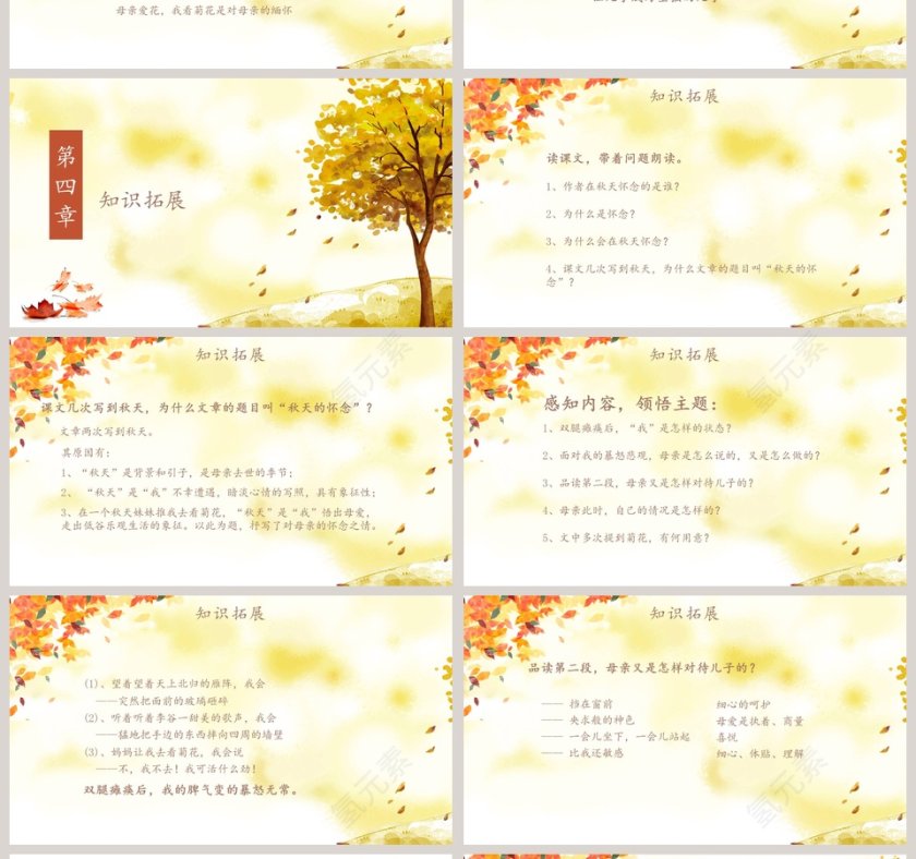  语文课件 秋天的怀念PPT第4张