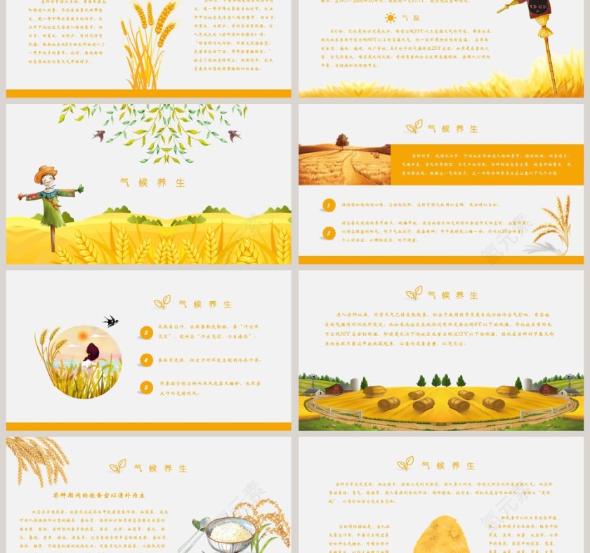 清新简约二十四节气主题芒种PPT第3张