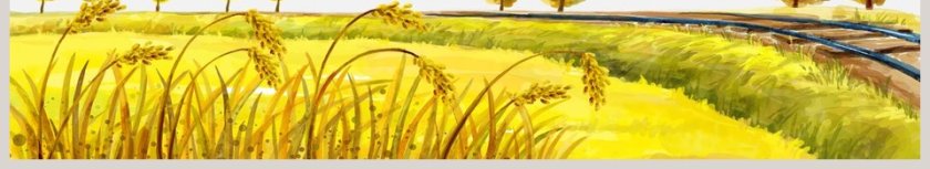 清新简约二十四节气主题芒种PPT第6张