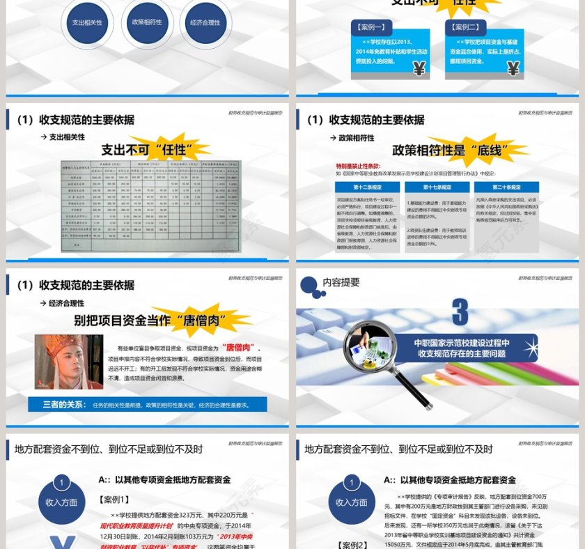 2019财务收支规范与审计监督报告第3张