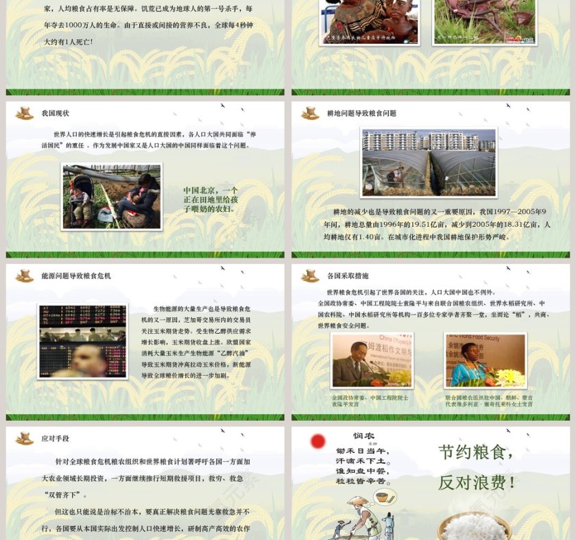 简约世界粮食日珍惜粮食PPT模板第3张