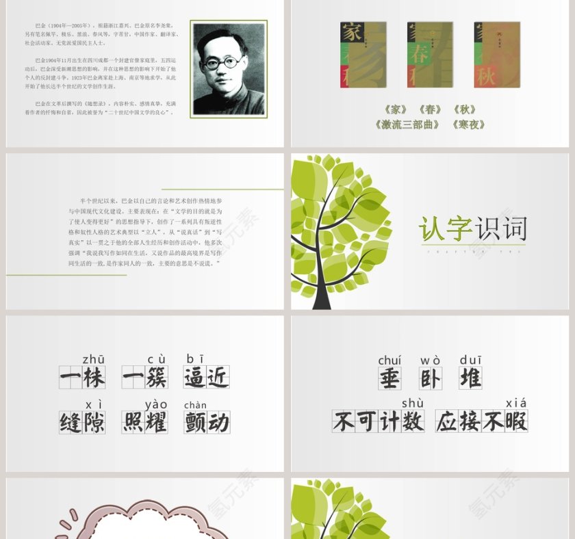 四年级语文课件《鸟的天堂》PPT第2张