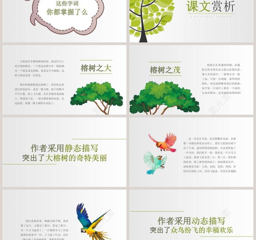 四年级语文课件《鸟的天堂》PPT第3张