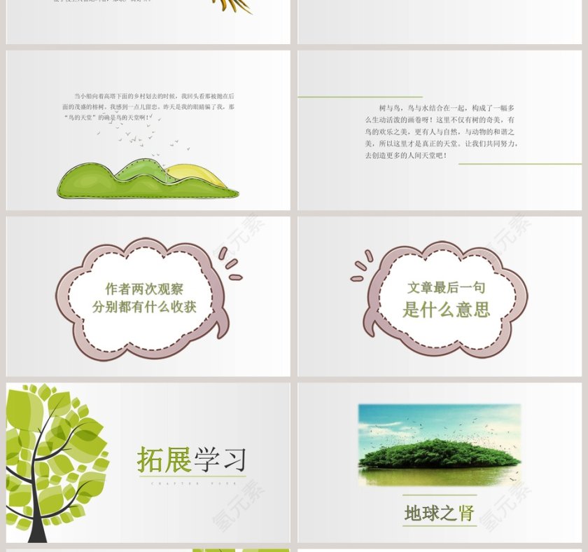 四年级语文课件《鸟的天堂》PPT第4张