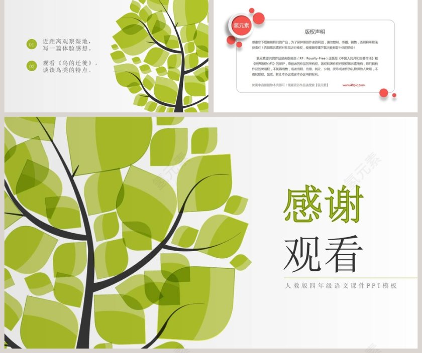 四年级语文课件《鸟的天堂》PPT第5张