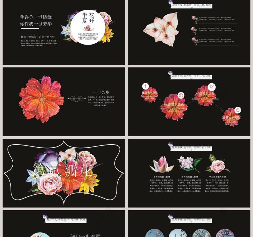 花开半夏PPT第2张