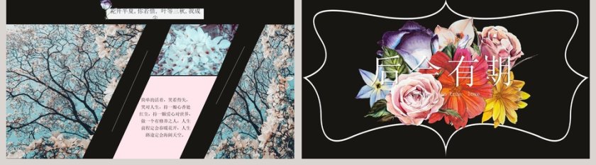 花开半夏PPT第5张