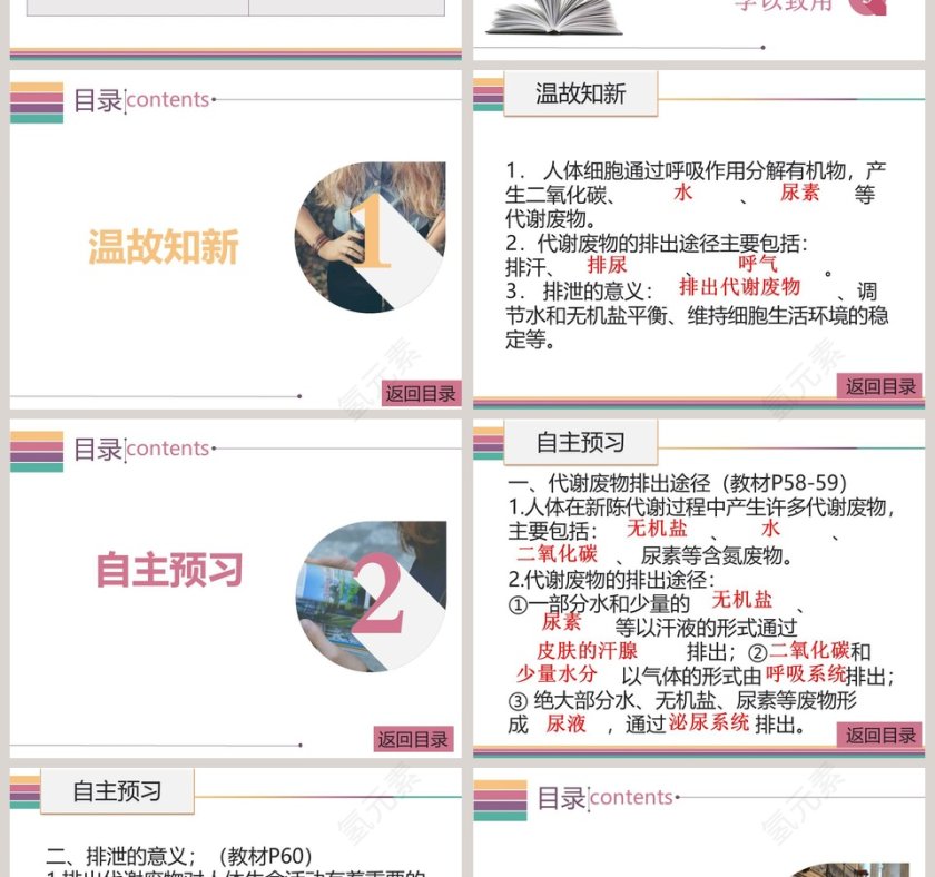 第十一章人体代谢废物的排出-人体产生的代谢废物教学ppt课件第2张