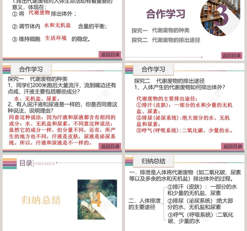 第十一章人体代谢废物的排出-人体产生的代谢废物教学ppt课件第3张