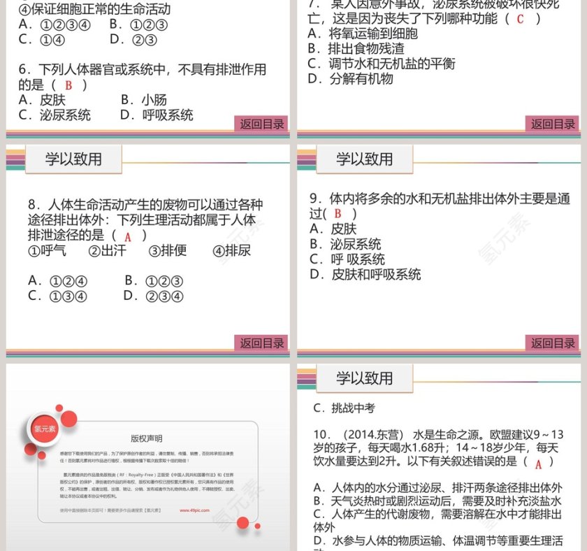 第十一章人体代谢废物的排出-人体产生的代谢废物教学ppt课件第5张