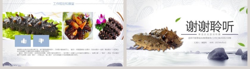 野生海参PPT模板第5张