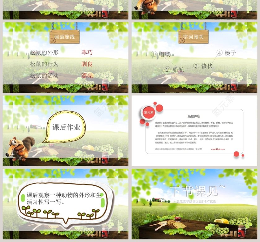 五年级语文课件PPT松鼠第4张
