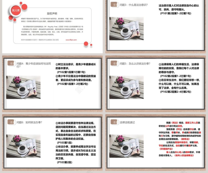 我们与法律同行教学ppt课件第2张