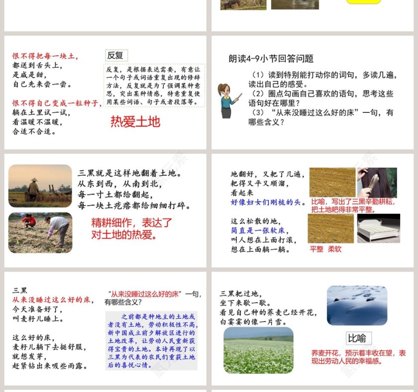 课文解析三黑和土地语文课件PPT第4张
