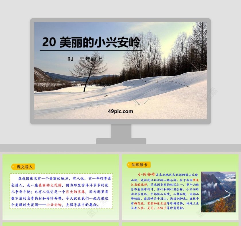 课文解读三年级语文上册美丽的小兴安岭语文课件PPT第1张