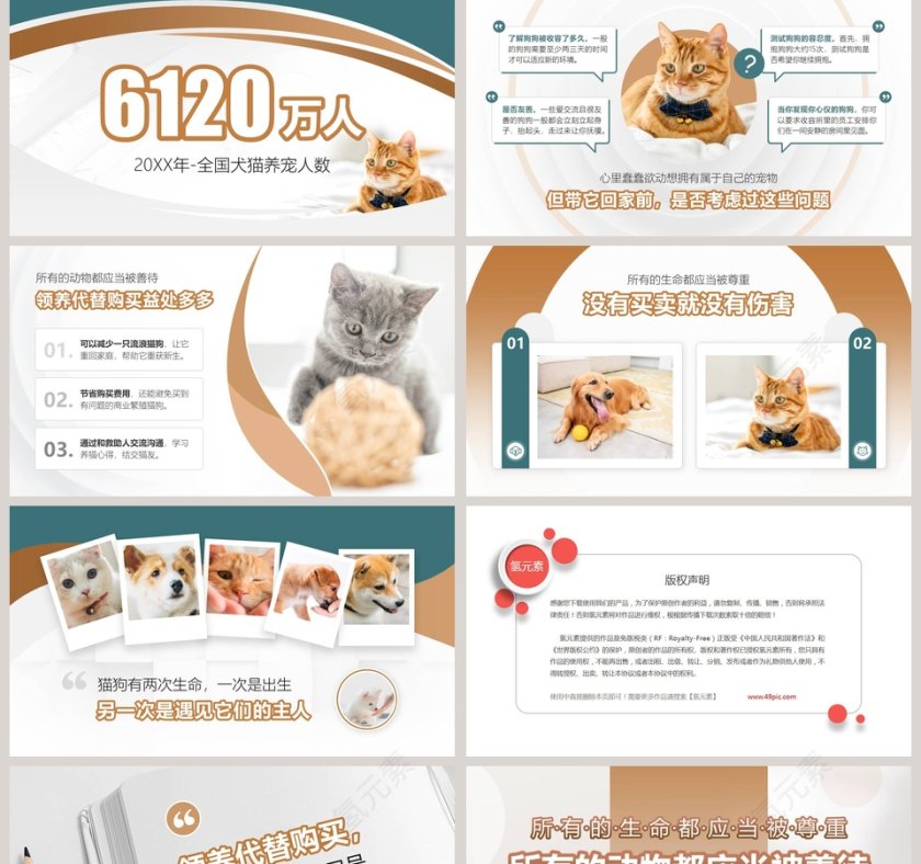 以领养代替购买关爱宠物PPT模板第2张