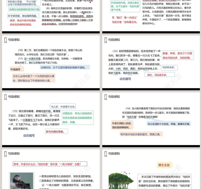 课文解析五年级语文上册鸟的天堂语文课件PPT第3张