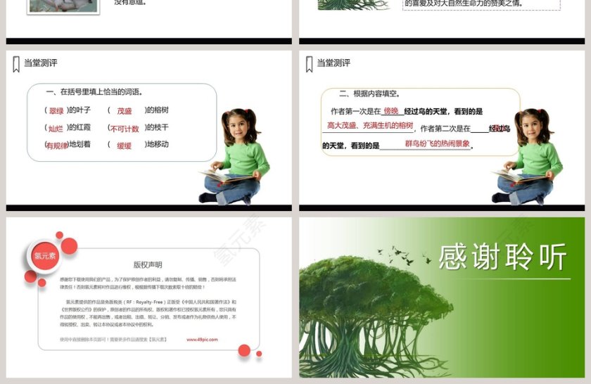 课文解析五年级语文上册鸟的天堂语文课件PPT第4张