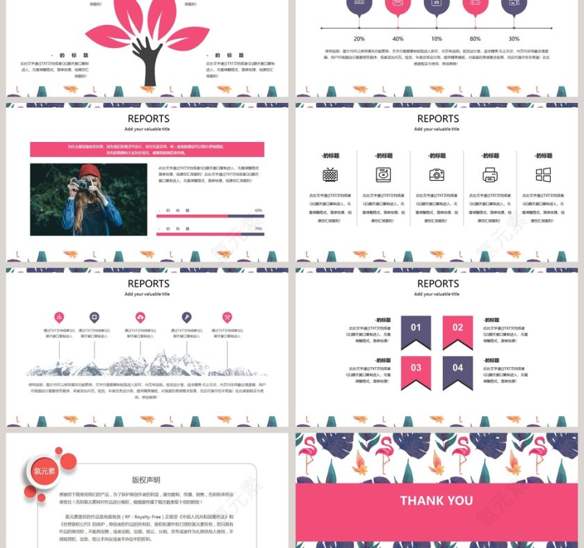 火烈鸟主题PPT第3张