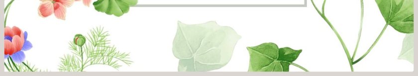 唯美背景风格荷花绿叶岗位竞聘PPT第6张