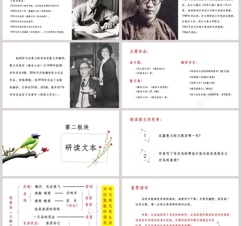  初中语文课件PPT《鸟》第3张