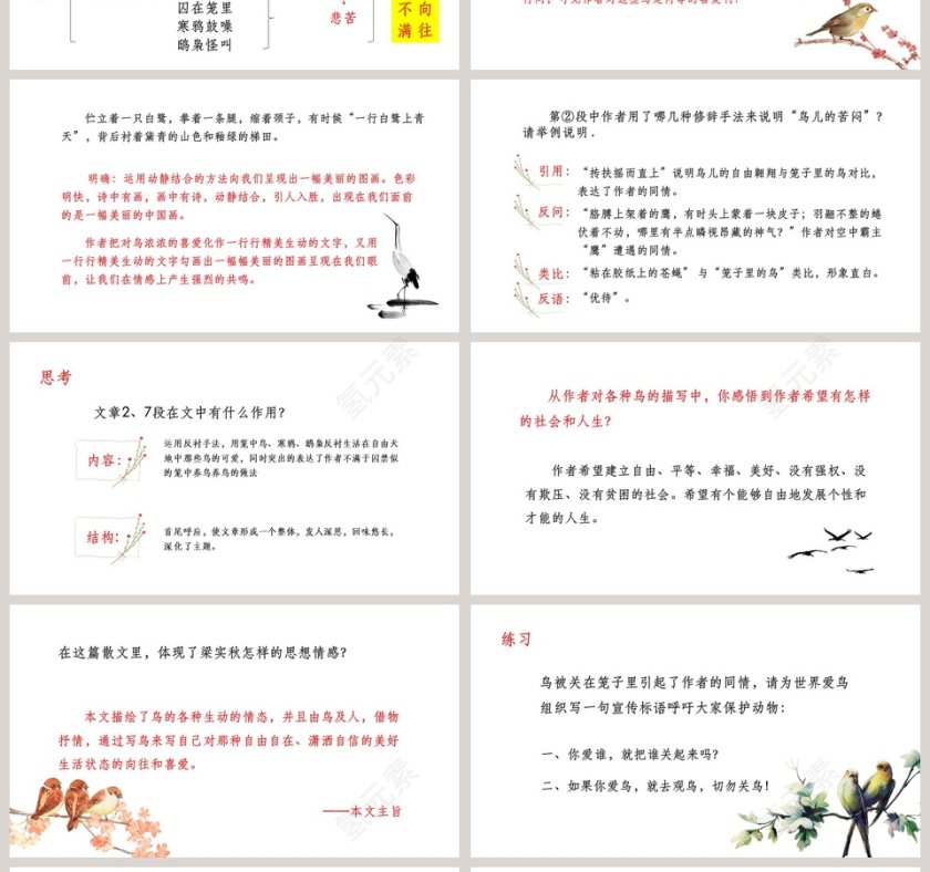  初中语文课件PPT《鸟》第4张