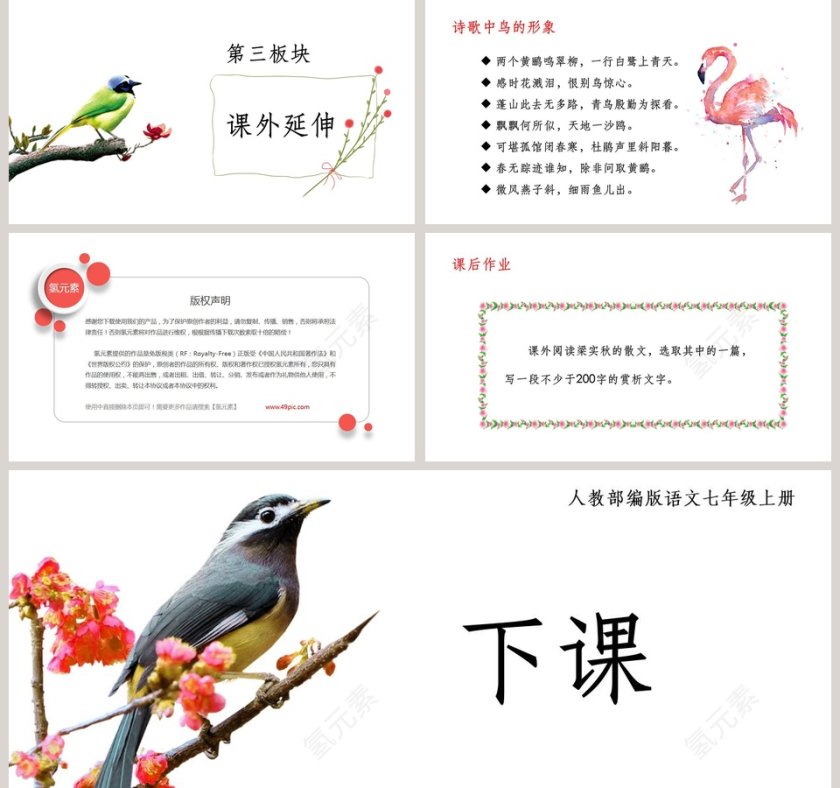  初中语文课件PPT《鸟》第5张