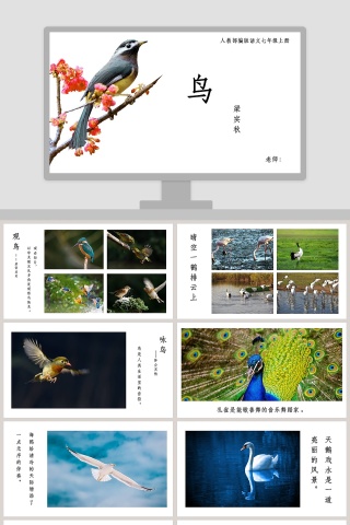  初中语文课件PPT《鸟》