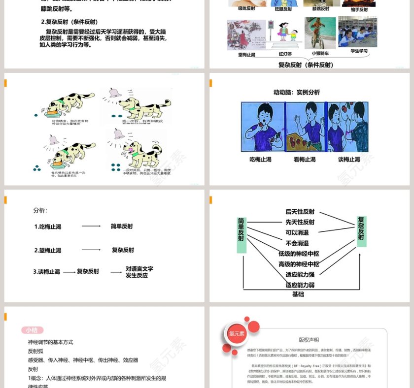 神经调节的基本方式教学ppt课件第3张