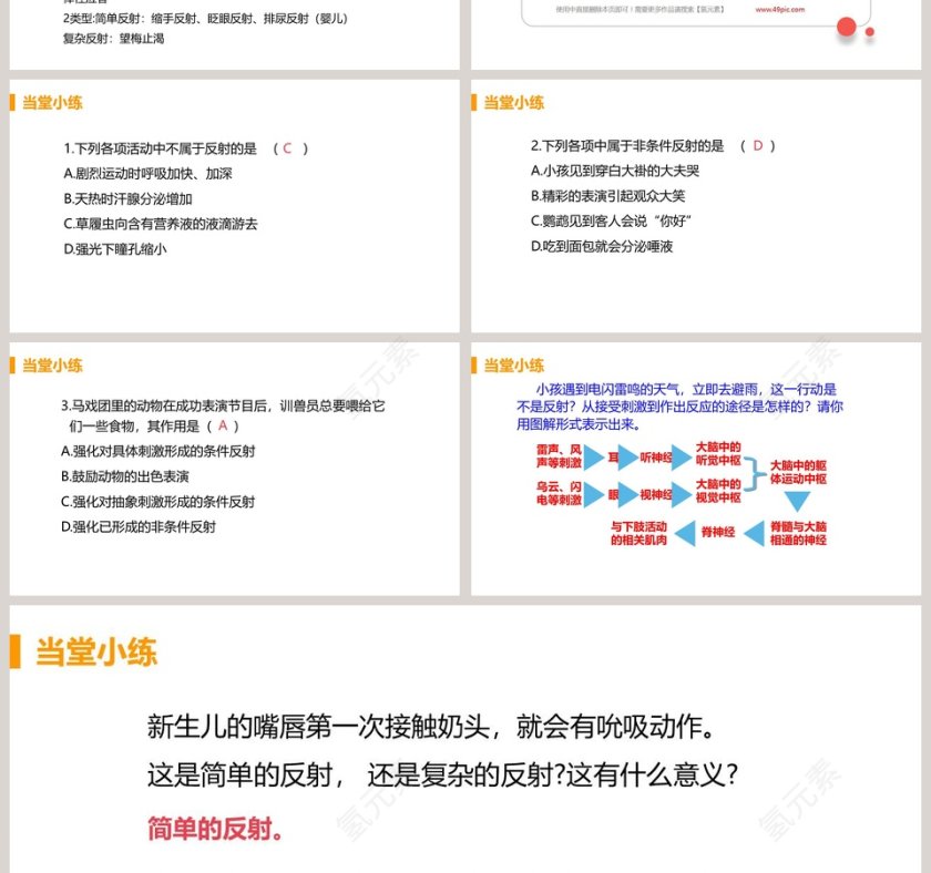 神经调节的基本方式教学ppt课件第4张