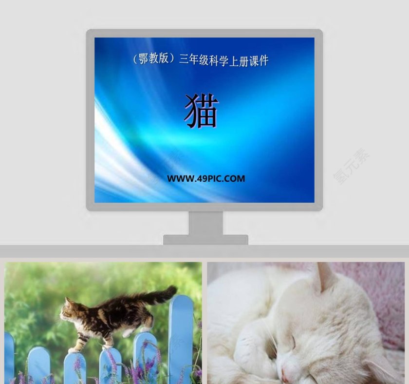 鄂教版三年级科学上册课件PPT模板下载第1张
