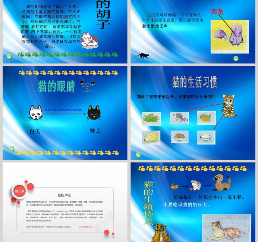 鄂教版三年级科学上册课件PPT模板下载第3张