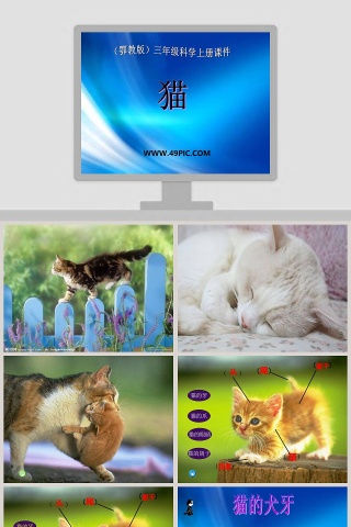 鄂教版三年级科学上册课件PPT模板下载