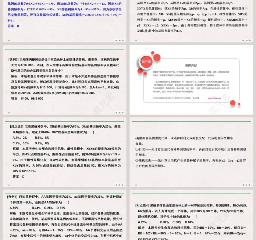 微专题七基因频率和基因型频率的计算方法教学ppt课件第3张