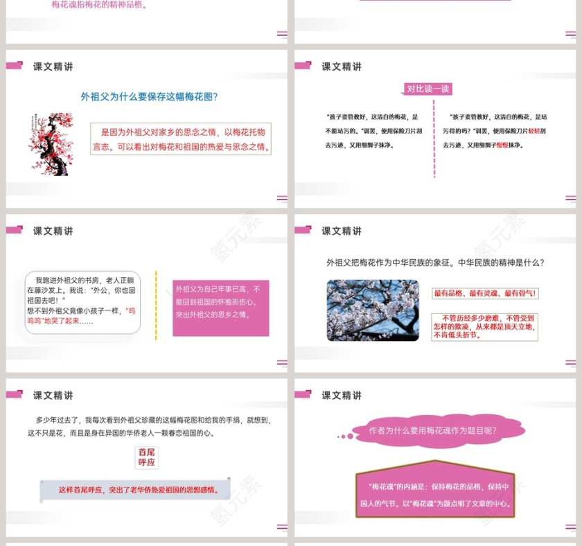 部编版五年级语文下册梅花魂语文课件PPT第4张