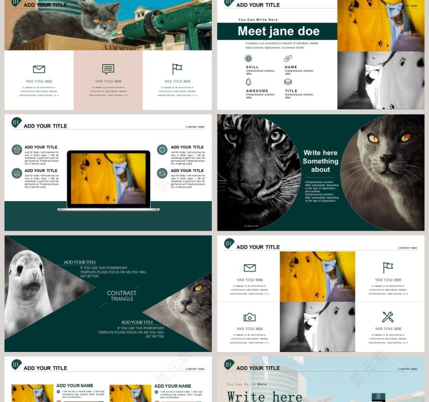 2019宠物诊所PPT模版第2张