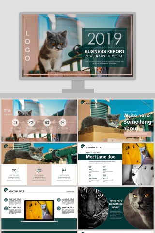 2019宠物诊所PPT模版