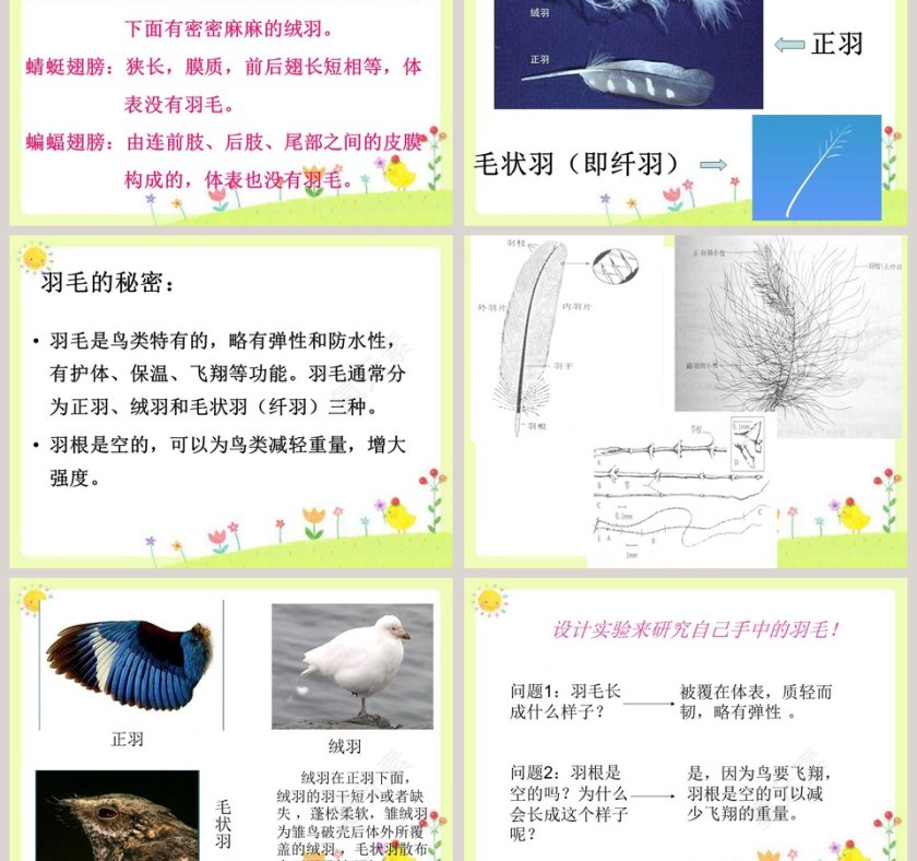 第-2教学ppt课件第3张