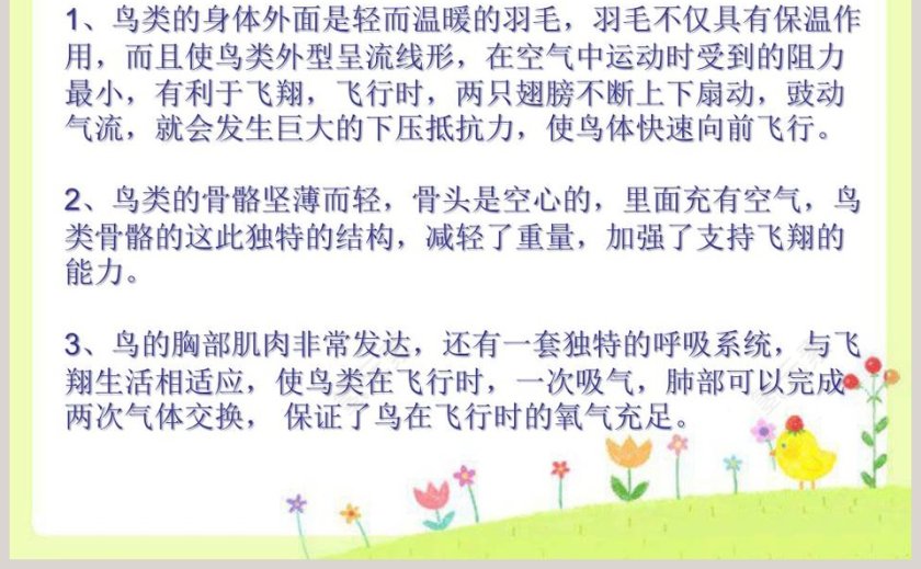 第-2教学ppt课件第5张