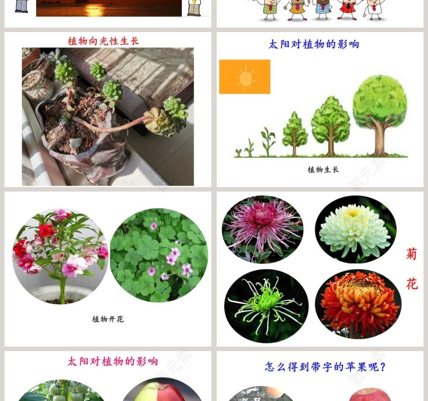 太阳对动植物的影响-大象出版社一年级下册第三单元第二课教学ppt课件第2张
