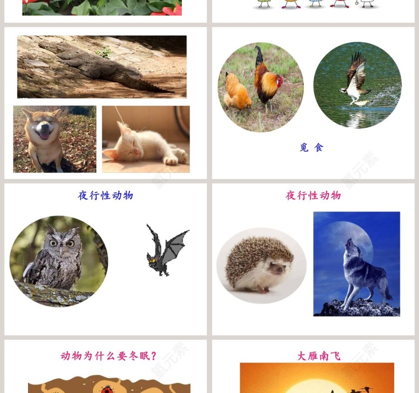 太阳对动植物的影响-大象出版社一年级下册第三单元第二课教学ppt课件第4张