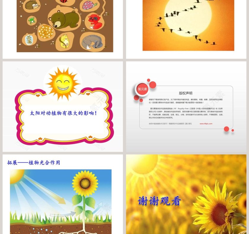 太阳对动植物的影响-大象出版社一年级下册第三单元第二课教学ppt课件第5张
