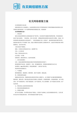 有关网络销售方案