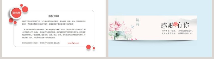 中国 荷花PPT第5张